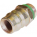 Caps, Primary Seals & Valve Cores