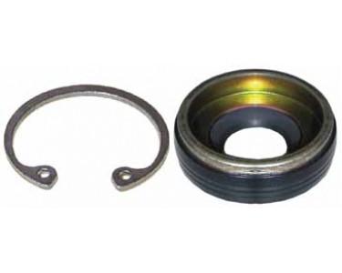 GM V5/V7 RUBBER COATED LIP SEAL KIT - 43-MT2271