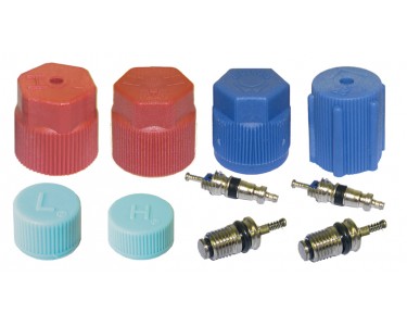 CAP & VALVE KIT (SEE APPLICATION GUIDE) CAP & VALVE KIT (SEE APPLICATION GUIDE)