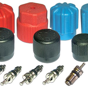 CAP & VALVE KIT  (SEE APPLICATION GUIDE)
