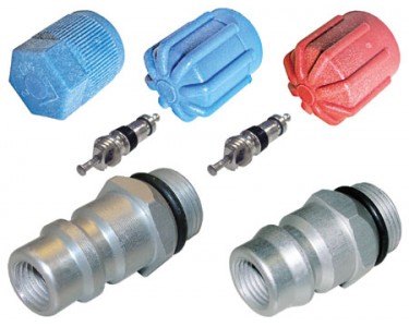 CAP & VALVE KIT  (SEE APPLICATION GUIDE)