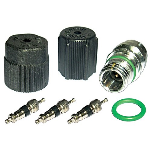 CAP & VALVE KIT 93-09 GM VEHICLES