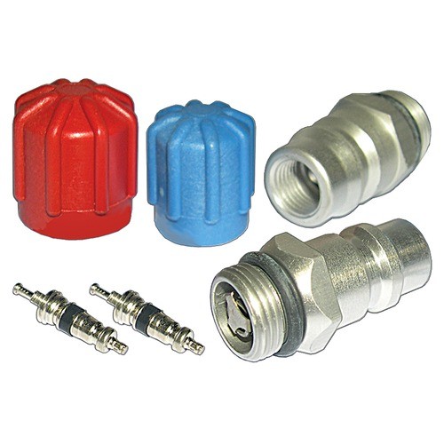 CAP & VALVE KIT 94-05 GM VEHICLES