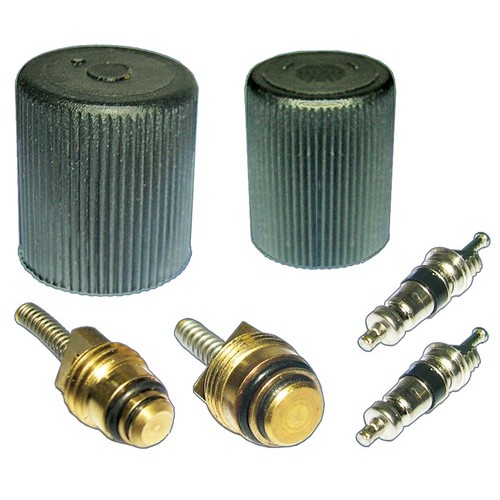 CAP & VALVE KIT 97-08 VARIOUS VEHICLES