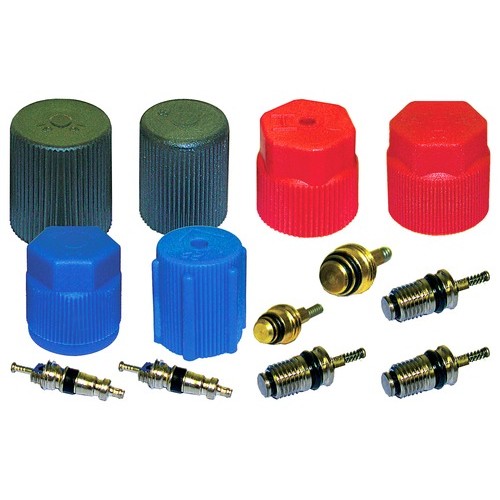 CAP & VALVE KIT 94-08 FORD