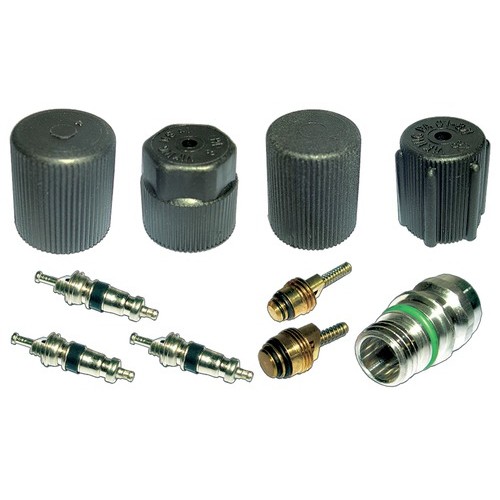 CAP & VALVE KIT 94-05 CHRYSLER