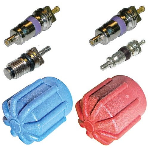 CAP & VALVE KIT 04-09 EUROPEAN VEHICLES