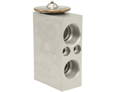 EXP VALVE BLOCK CAMARO/FIREBIRD 93-96 52458711 EXP VALVE BLOCK CAMARO/FIREBIRD 93-96 52458711