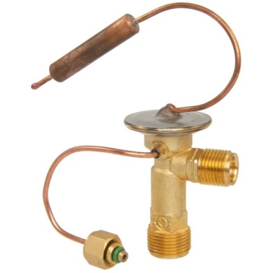 EXP VALVE BERETTA CORSICA GRAND AM ACHIEVA 94-95