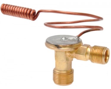 EXP VALVE TRAILBLAZER ENVOY ASCENDER AUX 02-07