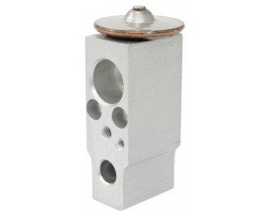 EXP VALVE BLOCK SENTRA 00-02  92200-5M000