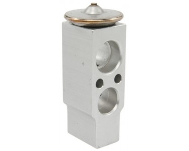 EXP VALVE BLOCK 05-06 CAMRY 04-08 SOLARA SEE NOTE