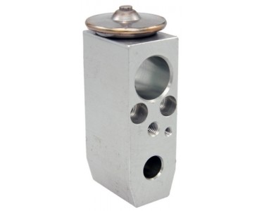 EXP VALVE INFINITY FX35 FX45 G35 03-06 350Z 03-07