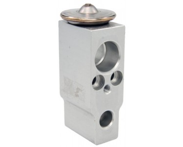 EXP VALVE CHEV TRACKER 99-04 15-5903