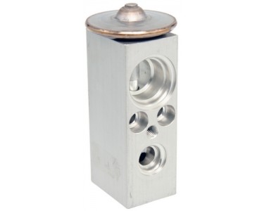 EXP VALVE SATURN L SERIES 00-03 L100/200/300 01-03