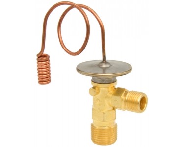 EXP VALVE VOLVO V40 00-04 S40 00-06
