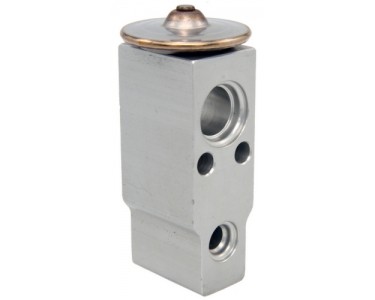 EXP VALVE KIA RIO5 02-05
