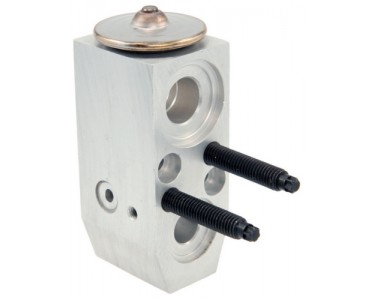 EXP VALVE BLOCK SATURN VUE 02-04 EQUINOX 05