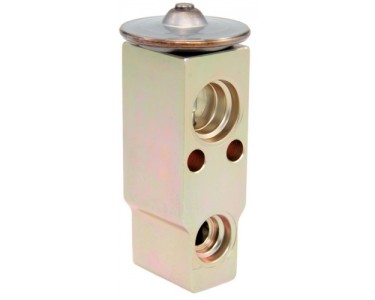 EXP VALVE INFINITY G20 99-02 2.0L
