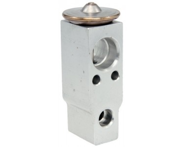 EXP VALVE TOYOTA TUNDRA 03-04