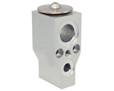 EXP VALVE GM 05-08 UPLANDER MONTANA 05-08 AUX