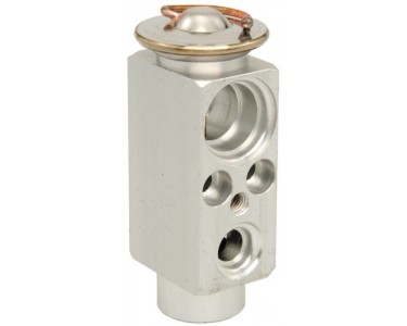 EXP VALVE RANGE ROVER 03-11