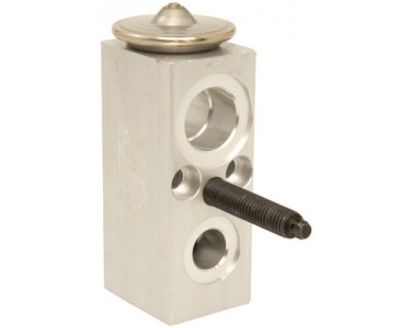 EXP VALVE PONTIAC TORRENT/CHEVY EQUINOX 06-09