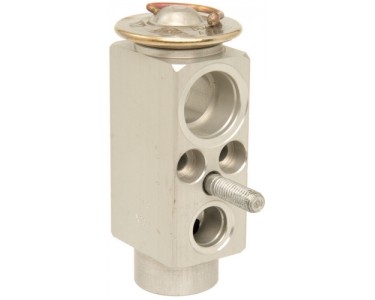 EXP VALVE MERECEDES C CL CLK E G S CLASSES 01-07