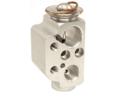 EXP VALVE VW TOUAREG 04-07 CAYENNE 04-06