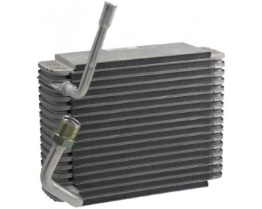 EVAP EXCURSION 00-05 SD F250-550 99-07