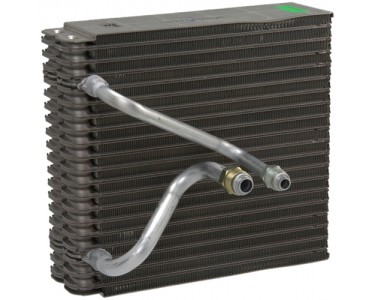 EVAP JAGUAR S TYPE / LINCOLN LS 00-06