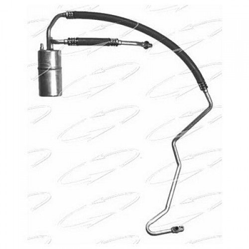 ACCUM W/HOSE 95-98 GRAND CHEROKEE 5.2L
