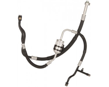 MANIFOLD HOSE F-SERIES 4.6/5.4L 98-03