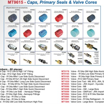 CAPS PRIMARY SEALS VALVE CORES 24 PIECE KIT - MT9615