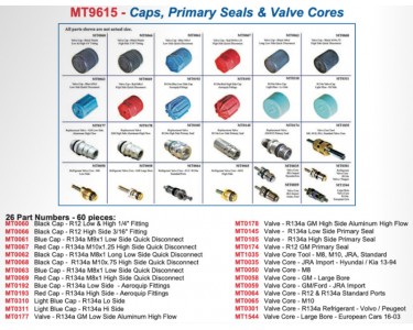 CAPS PRIMARY SEALS VALVE CORES 24 PIECE KIT - MT9615 CAPS PRIMARY SEALS VALVE CORES 24 PIECE KIT - MT9615